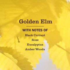 Golden Elm Liquid Hand Soap