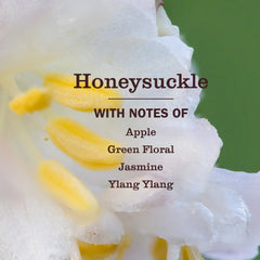 Honeysuckle Room Freshener