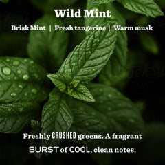Wild Mint Garden Heirloom Candle