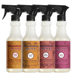 Fall Seasonal Multi-Surface Everyday Cleaner Collection