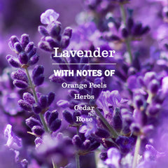 Lavender Room Freshener
