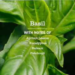 Basil Kitchen Basics Set