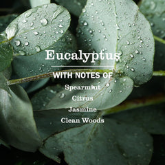 Eucalyptus Dish Soap