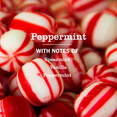Peppermint Dish Soap