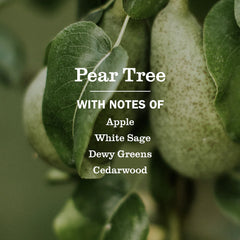 Pear Tree Room Freshener