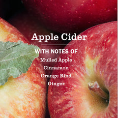 Apple Cider Dish Soap