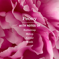 Peony Multi-Surface Everyday Cleaner