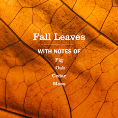 Fall Leaves Multi-Surface Everyday Cleaner 3-count Bundle