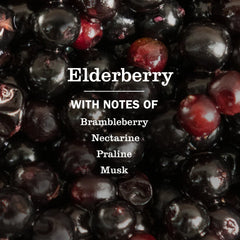 Elderberry Dish Soap