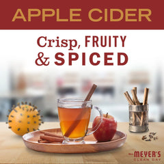 Apple Cider Tin Candle