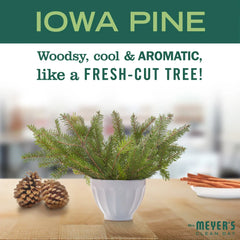Iowa Pine Hand Lotion