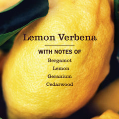 Lemon Verbena Dish Soap Refill