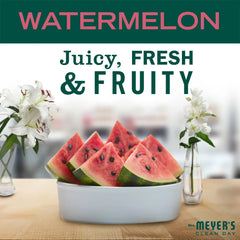 Watermelon Foaming Hand Soap