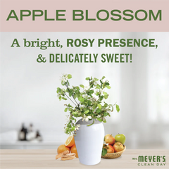 Apple Blossom Vinegar Gel Cleaning Spray