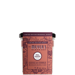 Fall Leaves Scented Soy Candle