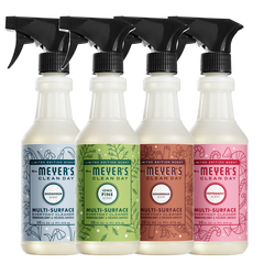 Holiday Seasonal Multi-Surface Everyday Cleaner Collection