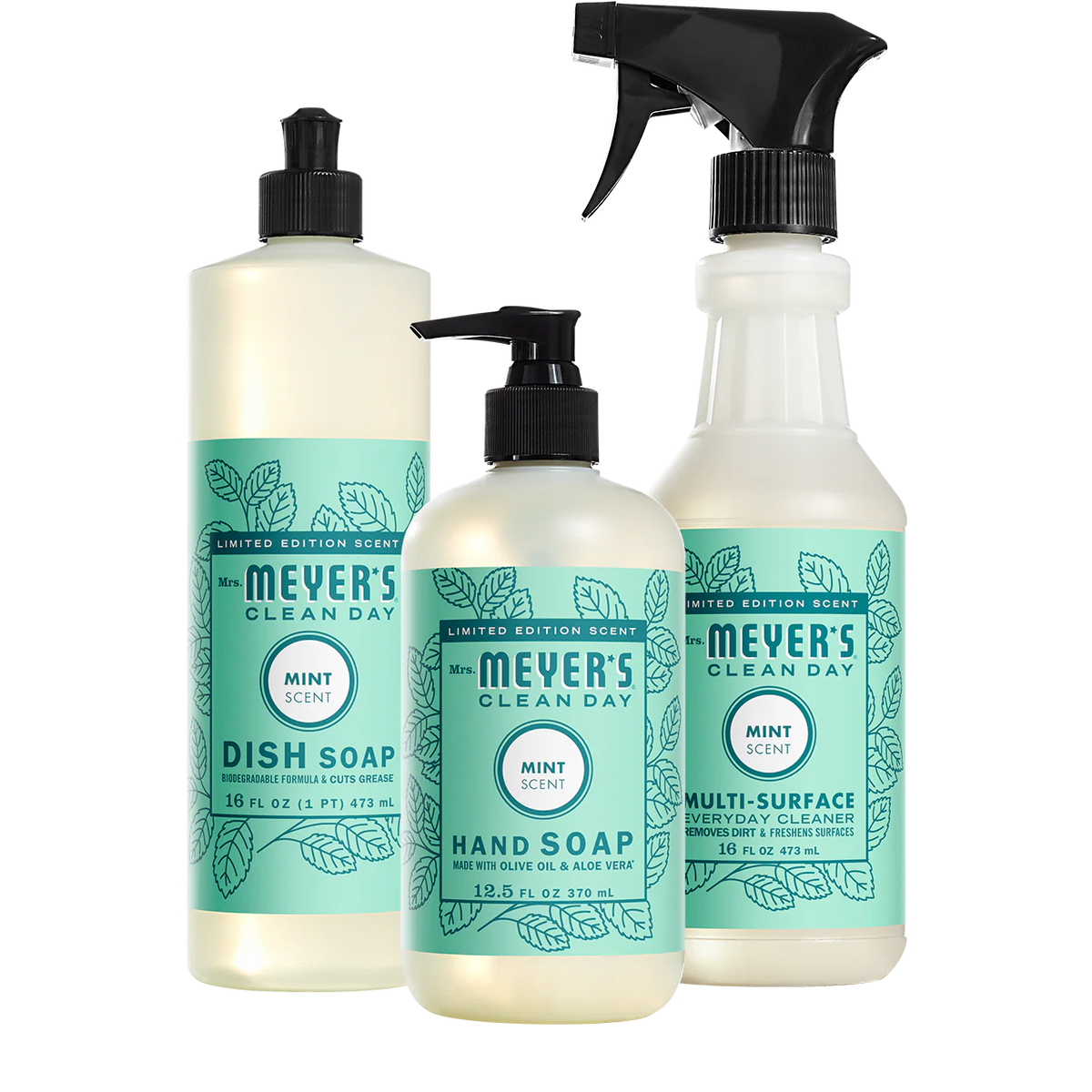 Mint Kitchen Basics Set