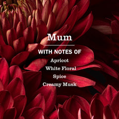 Mum Room Freshener