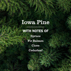 Iowa Pine Dish Soap 3-count Bundle