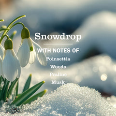 Snowdrop Multi-Surface Everyday Cleaner