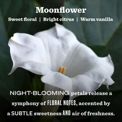 Moonflower Garden Heirloom Candle