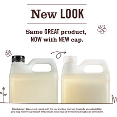 Lavender Liquid Hand Soap Refill