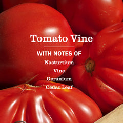 Tomato Vine Multi-Surface Everyday Cleaner 3-count Bundle